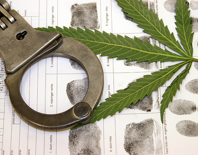 Cannabis leaf with handcuffs and fingerprints