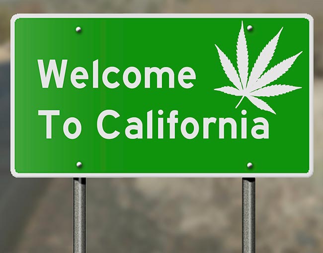 california-marijuana_22125486773_o