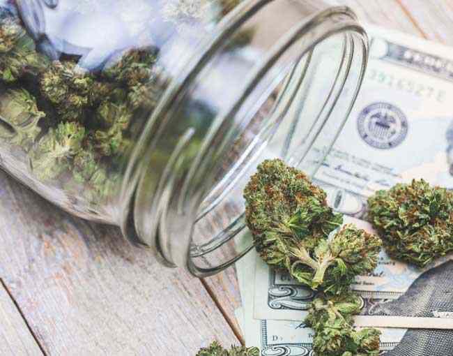 A jar of cannabis buds laying on money