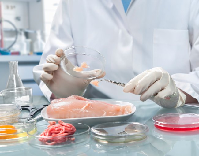 Food scientist inspecting lab-grown meat
