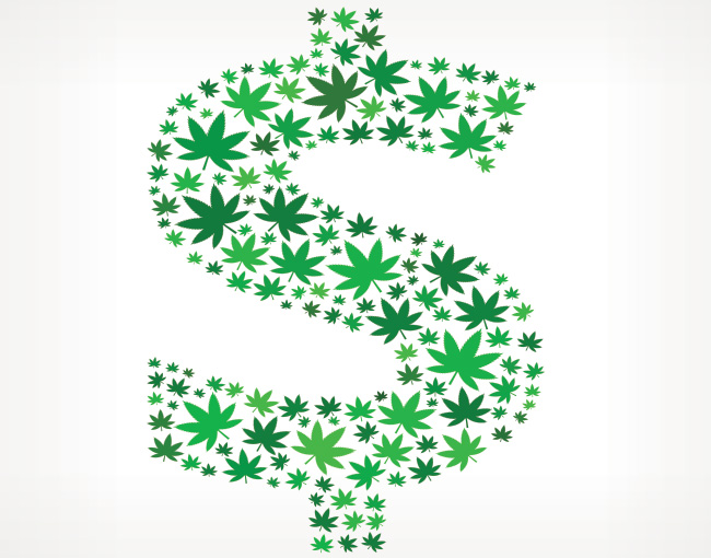 Marijuana leaves in the shape of a dollar sign