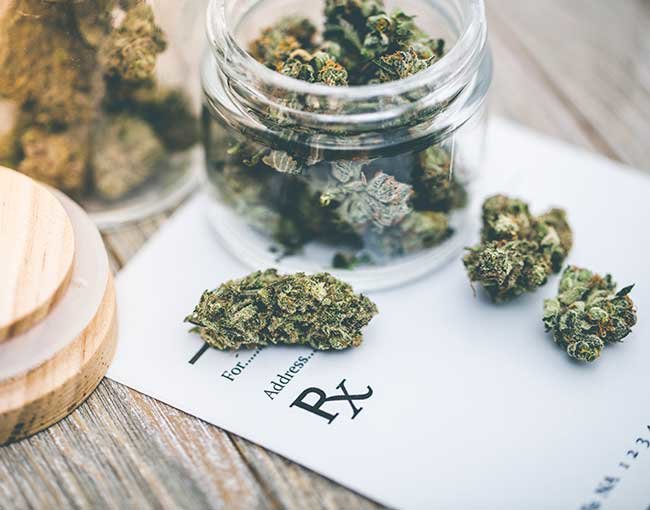 Marijuana buds on prescription sheet