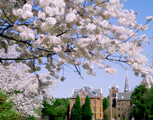 College campus during springtime