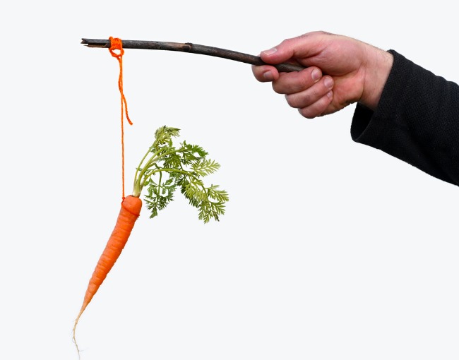 businessman hand holding carrot on a stick