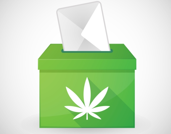 cannabis ballot