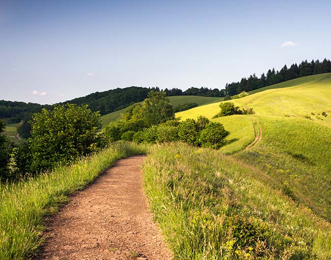 Hilly Path