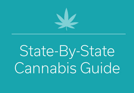 Cannabis state guide