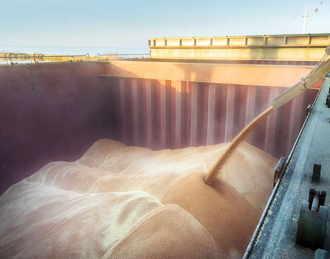 grain pouring into shipping container